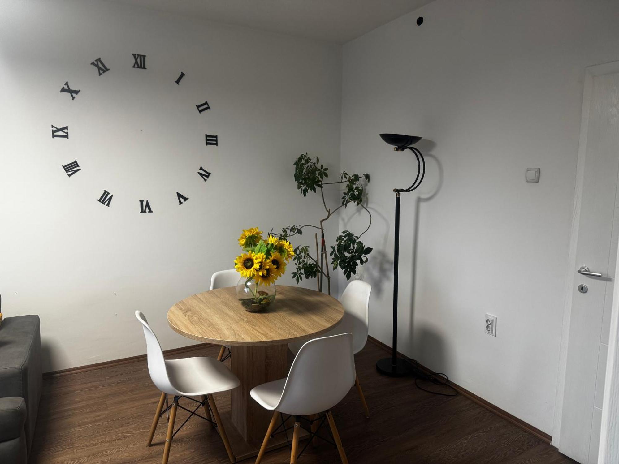 Center Apartments 斯科普里 外观 照片